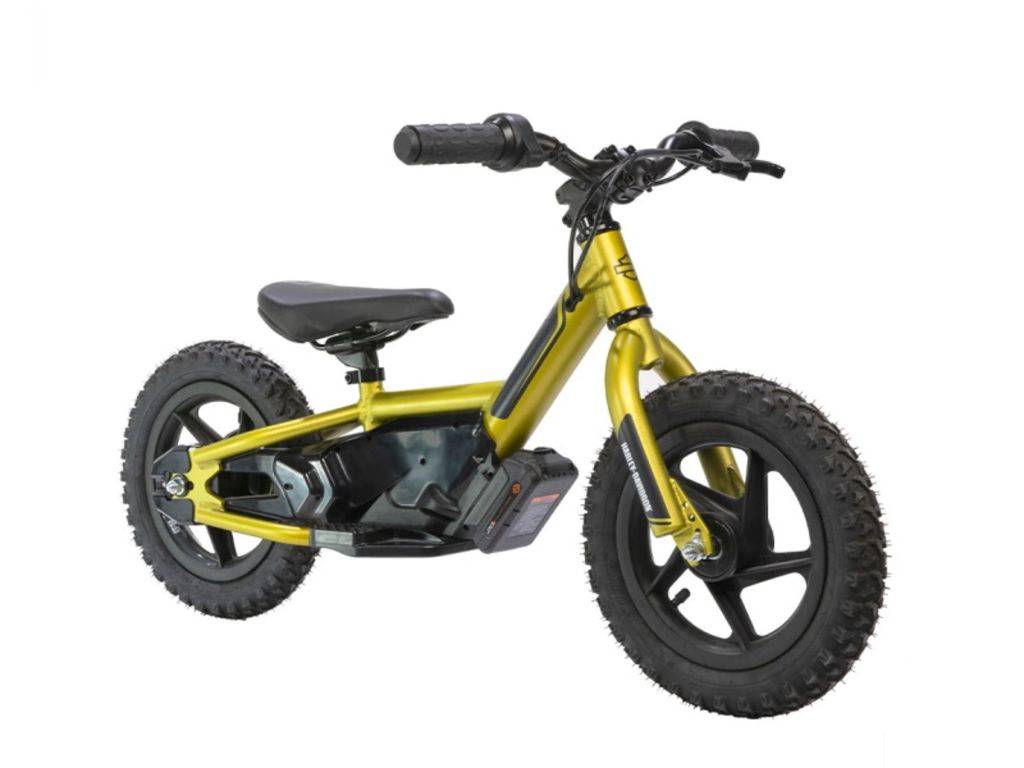 H-D IRON e16 LIMITED EDITION – Evinmotors PR