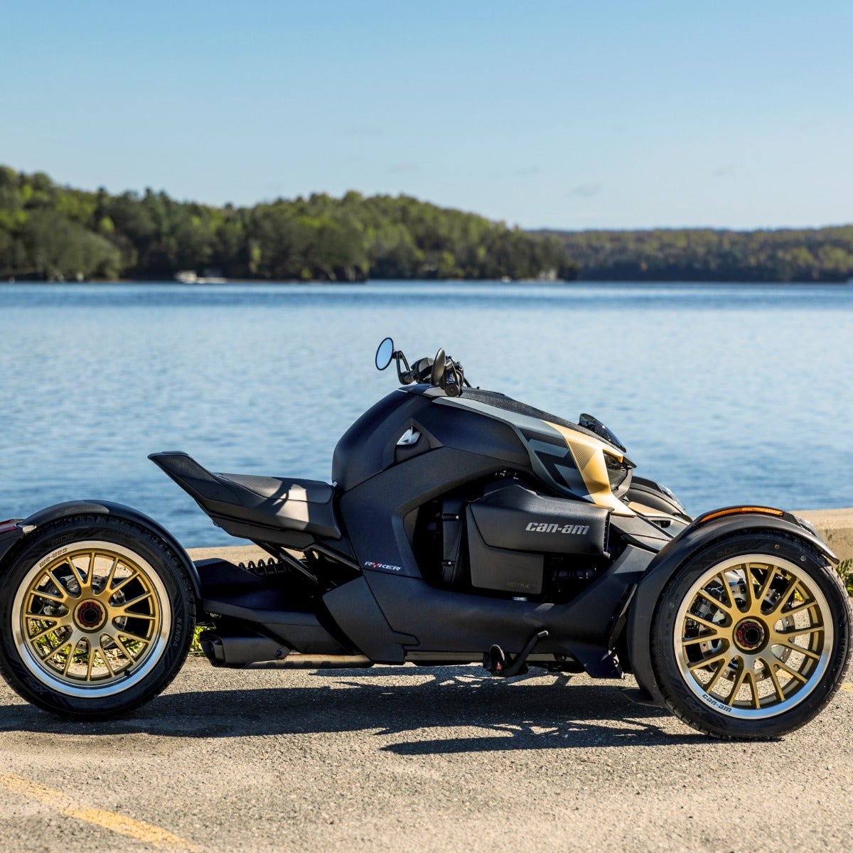 EXCLUSIVE PANEL KIT - ATLANTIS GOLD