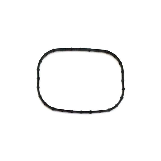 FUEL SEAL, PFA