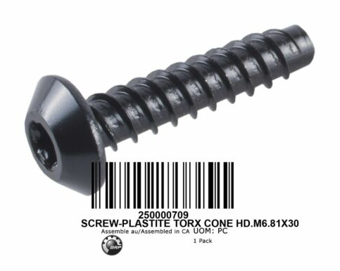 SCREW TORX M6.81 X 30