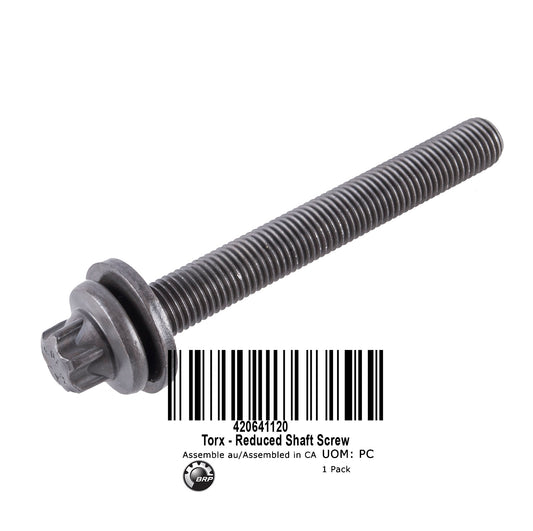 TORX FLANGED SCREW M10